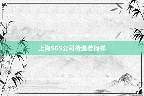 上海SGS公司待遇若何样